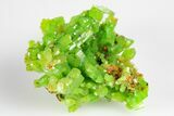 Apple-Green Pyromorphite Crystal Cluster - China #179781-1